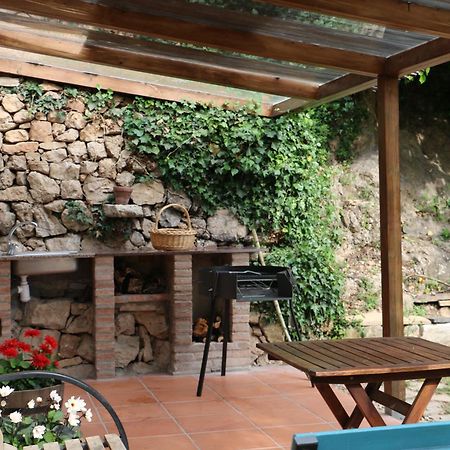 Casa Ecologica En Plena Naturaleza Arboli Zewnętrze zdjęcie